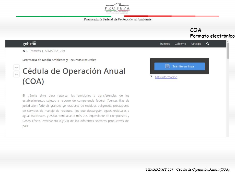 COA Formato electrónico SEMARNAT Cédula de Operación Anual (COA)