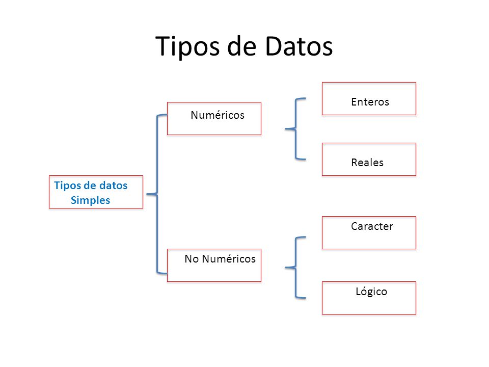 Tipos de Datos Enteros Numéricos Reales Tipos de datos Simples