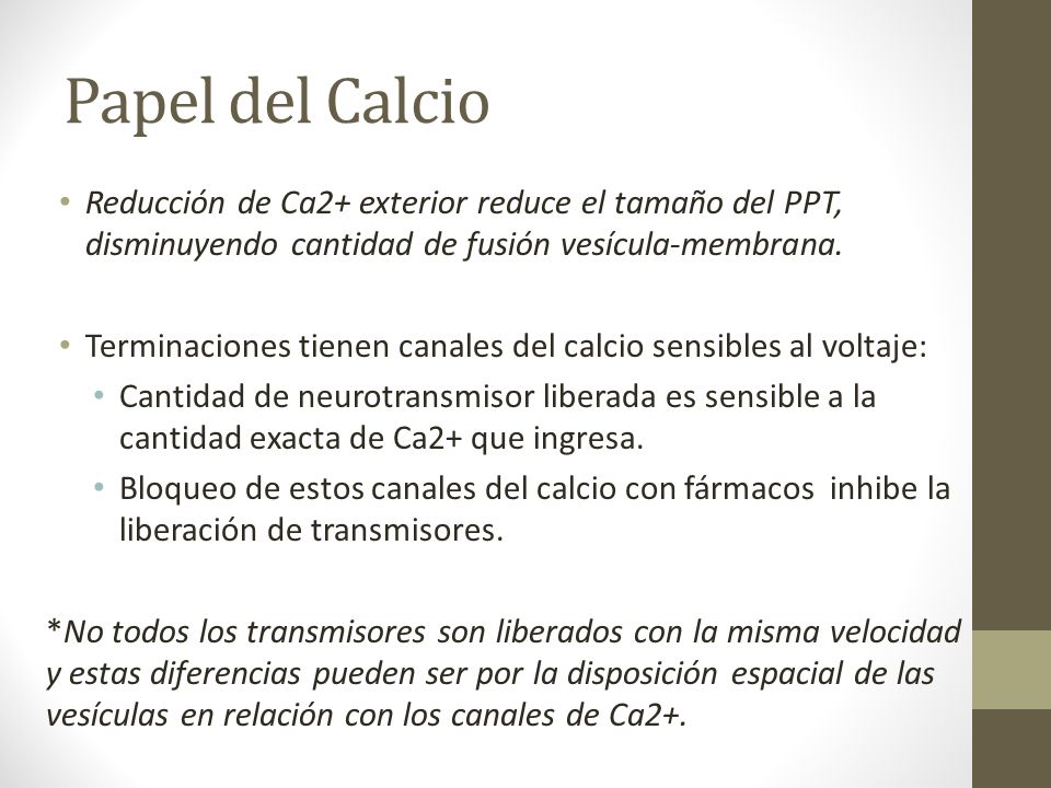 Papel del Calcio Reducción de Ca2+ exterior reduce el tamaño del PPT, disminuyendo cantidad de fusión vesícula-membrana.