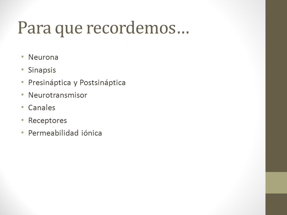 Para que recordemos… Neurona Sinapsis Presináptica y Postsináptica