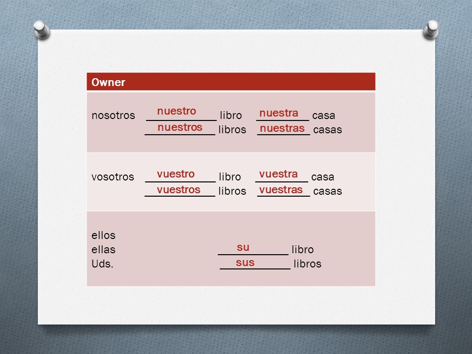 Owner nosotros ____________ libro _________ casa. ____________ libros _________ casas. vosotros ____________ libro _________ casa.