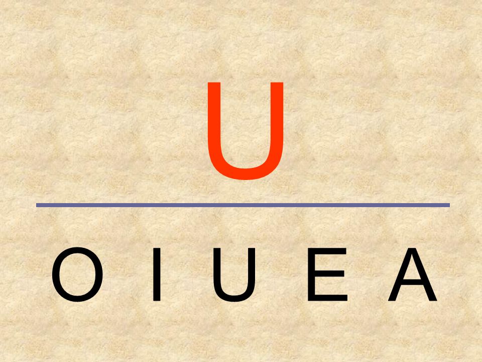 U O I U E A