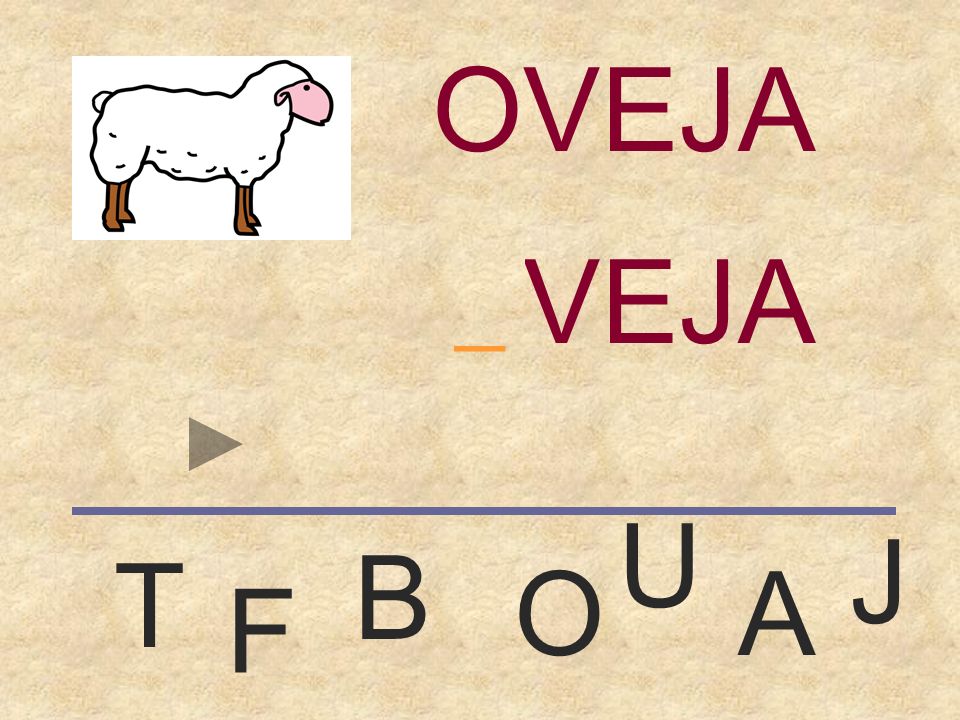 OVEJA OVEJA _ U J B T O A F