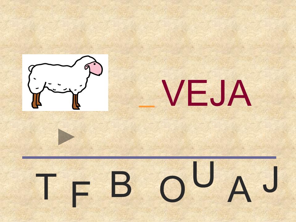 OVEJA _ U J B T O A F