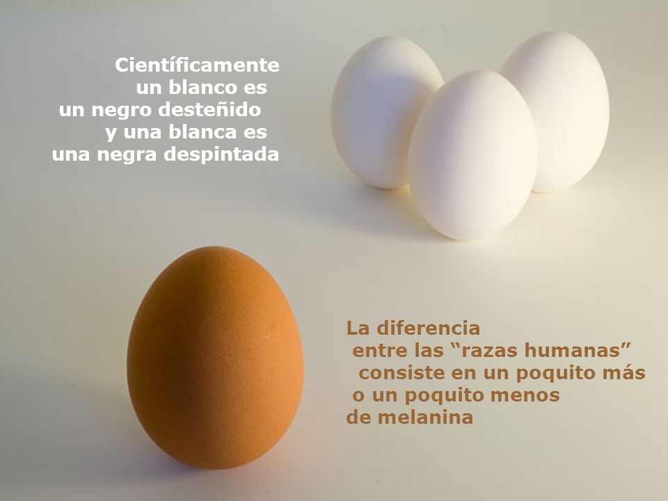 Científicamente un blanco es. un negro desteñido. y una blanca es. una negra despintada. La diferencia.