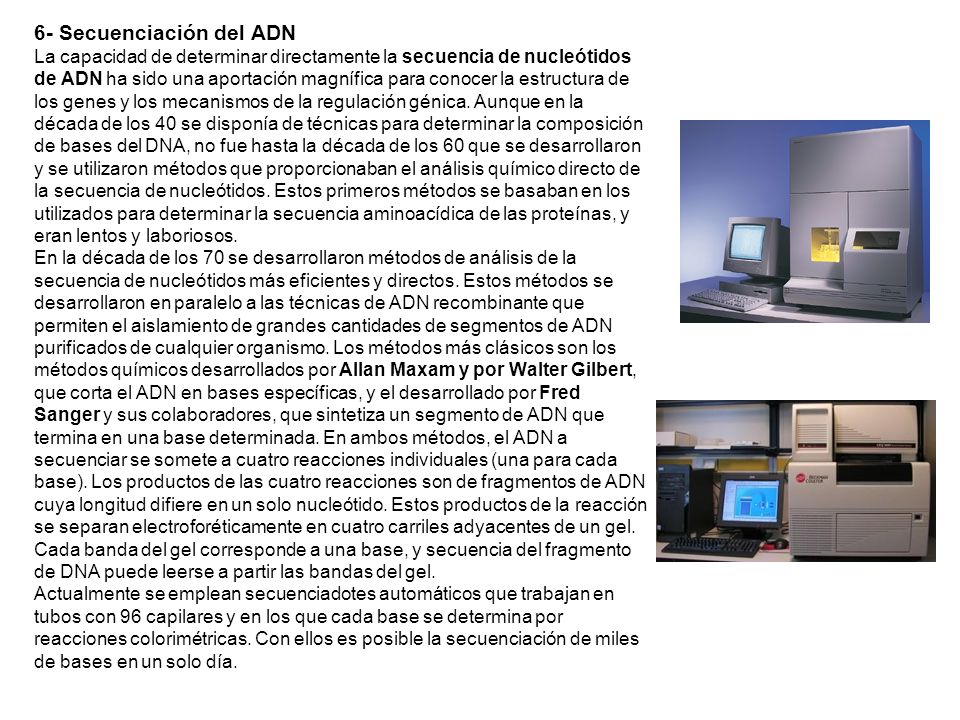 6- Secuenciación del ADN La capacidad de determinar directamente la secuencia de nucleótidos de ADN ha sido una aportación magnífica para conocer la estructura de los genes y los mecanismos de la regulación génica.