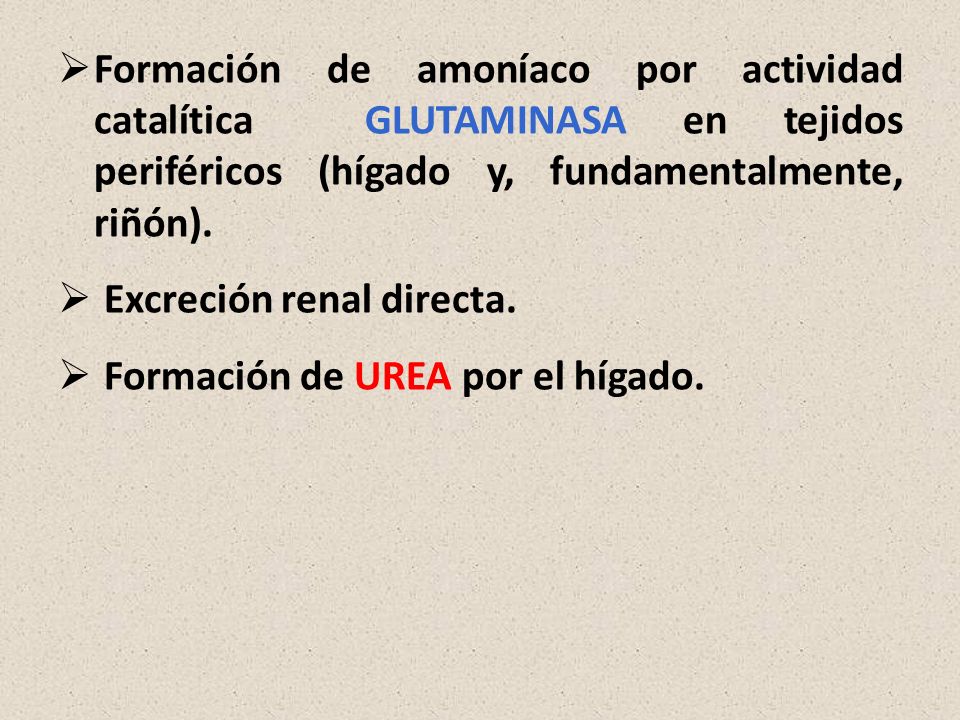 Formación de amoníaco por actividad catalítica GLUTAMINASA en tejidos periféricos (hígado y, fundamentalmente, riñón).