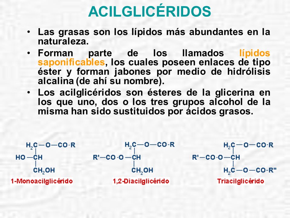 ACILGLICÉRIDOS Las grasas son los lípidos más abundantes en la naturaleza.