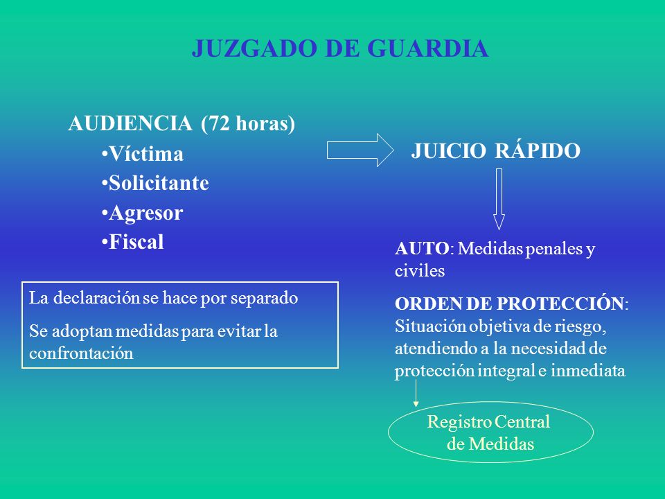 JUZGADO DE GUARDIA AUDIENCIA (72 horas) Víctima JUICIO RÁPIDO