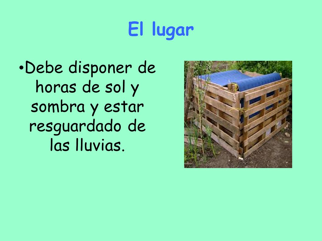El lugar Debe disponer de horas de sol y sombra y estar resguardado de las lluvias.