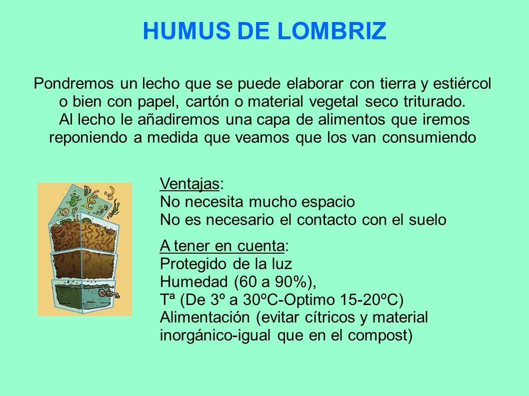 HUMUS DE LOMBRIZ Pondremos un lecho que se puede elaborar con tierra y estiércol. o bien con papel, cartón o material vegetal seco triturado.