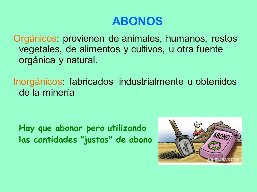ABONOS Orgánicos: provienen de animales, humanos, restos vegetales, de alimentos y cultivos, u otra fuente orgánica y natural.