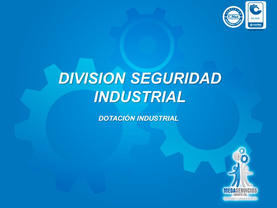 DIVISION SEGURIDAD INDUSTRIAL