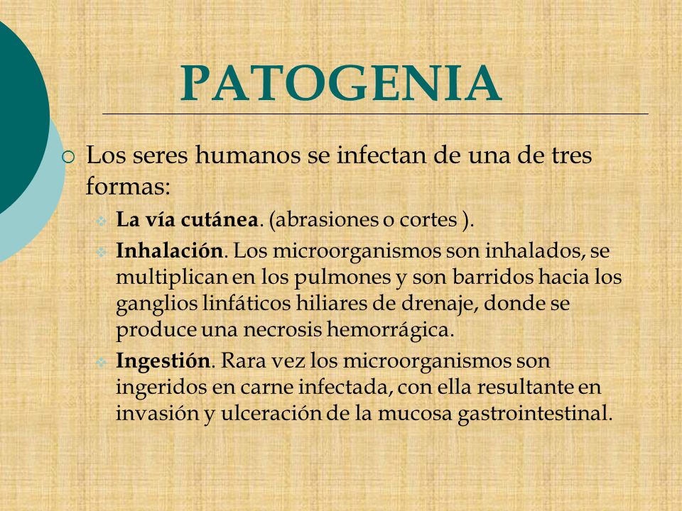 PATOGENIA Los seres humanos se infectan de una de tres formas: