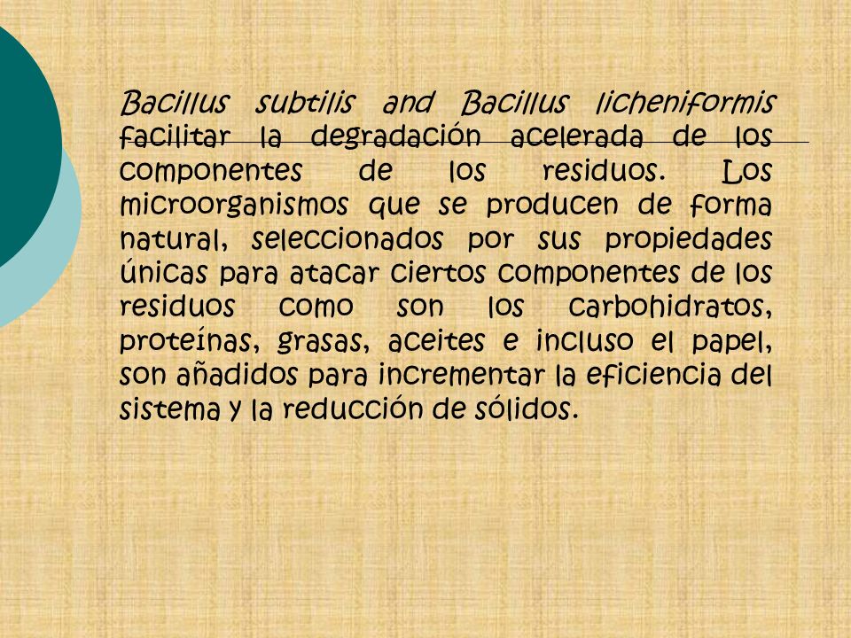 Bacillus subtilis and Bacillus licheniformis facilitar la degradación acelerada de los componentes de los residuos.