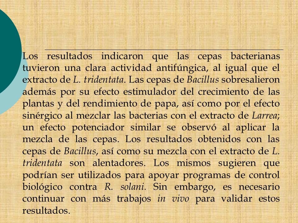 Los resultados indicaron que las cepas bacterianas tuvieron una clara actividad antifúngica, al igual que el extracto de L.