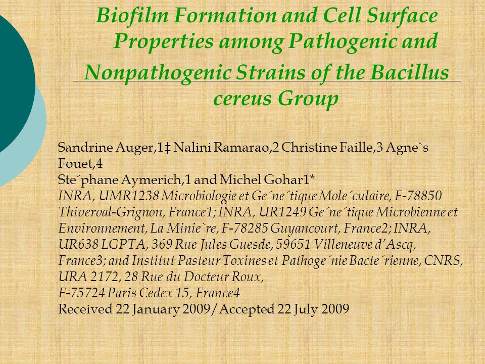 Biofilm Formation and Cell Surface Properties among Pathogenic and Nonpathogenic Strains of the Bacillus cereus Group