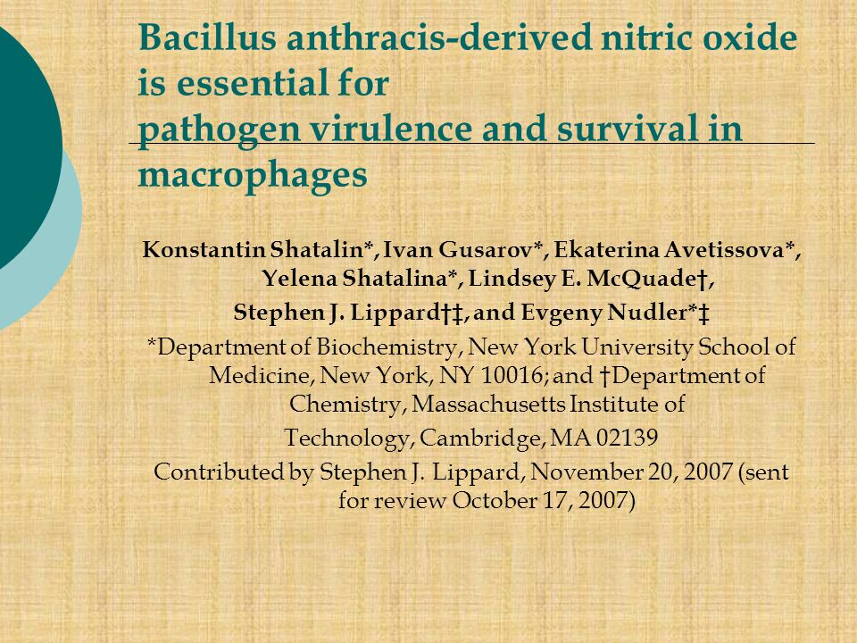 Bacillus anthracis-derived nitric oxide is essential for pathogen virulence and survival in macrophages
