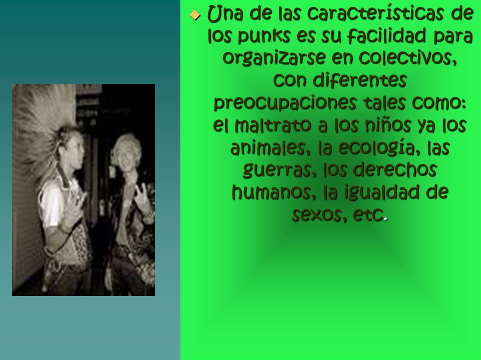 Una de las características de los punks es su facilidad para organizarse en colectivos, con diferentes preocupaciones tales como: el maltrato a los niños ya los animales, la ecología, las guerras, los derechos humanos, la igualdad de sexos, etc.