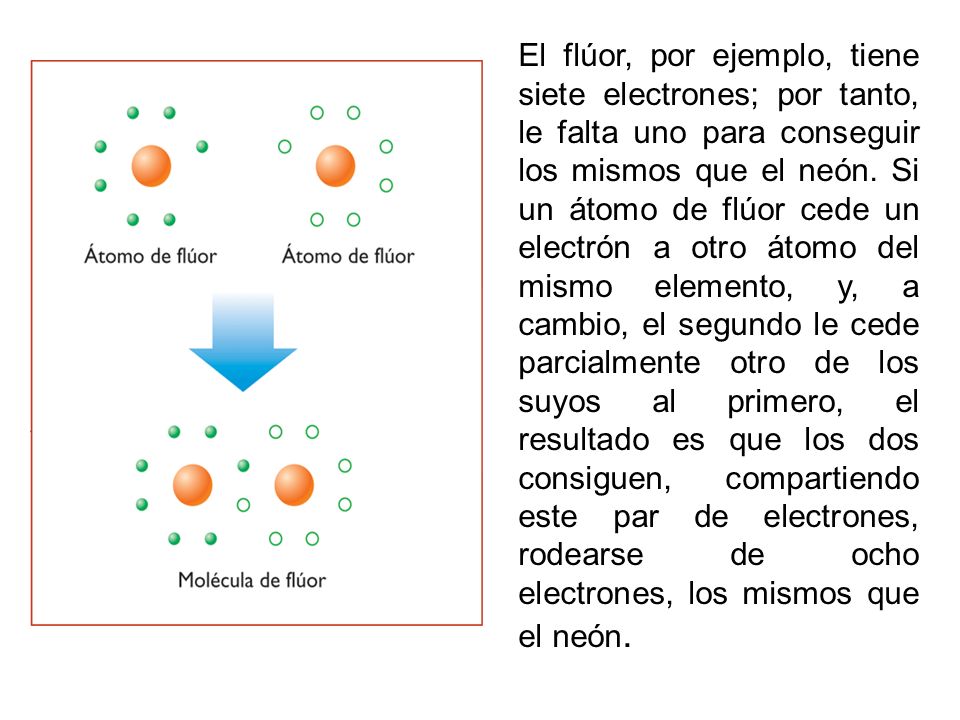 El flúor, por ejemplo, tiene siete electrones; por tanto, le falta uno para conseguir los mismos que el neón.