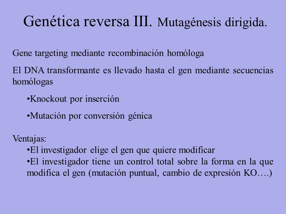 Genética reversa III. Mutagénesis dirigida.