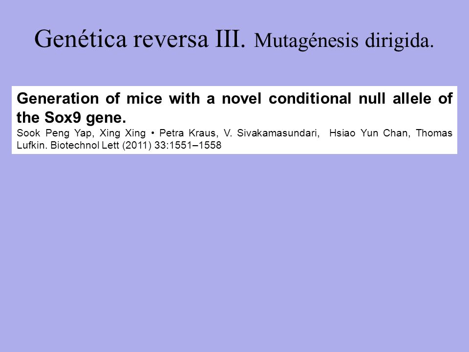 Genética reversa III. Mutagénesis dirigida.