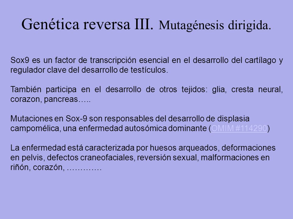 Genética reversa III. Mutagénesis dirigida.