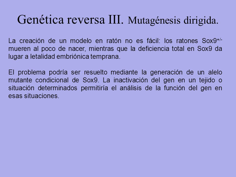 Genética reversa III. Mutagénesis dirigida.