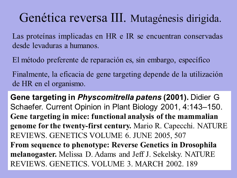 Genética reversa III. Mutagénesis dirigida.