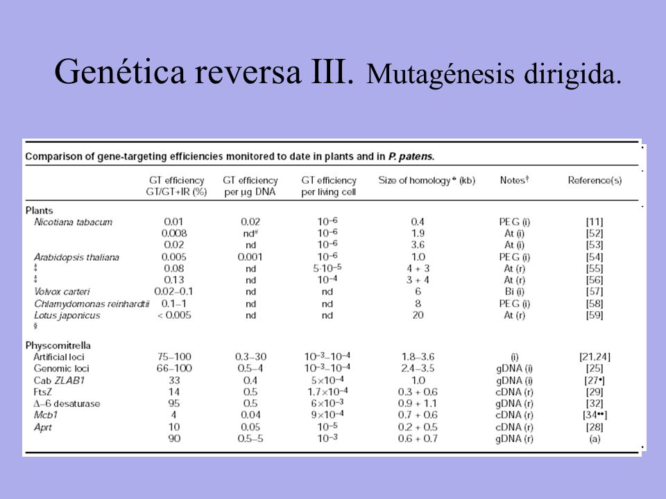 Genética reversa III. Mutagénesis dirigida.