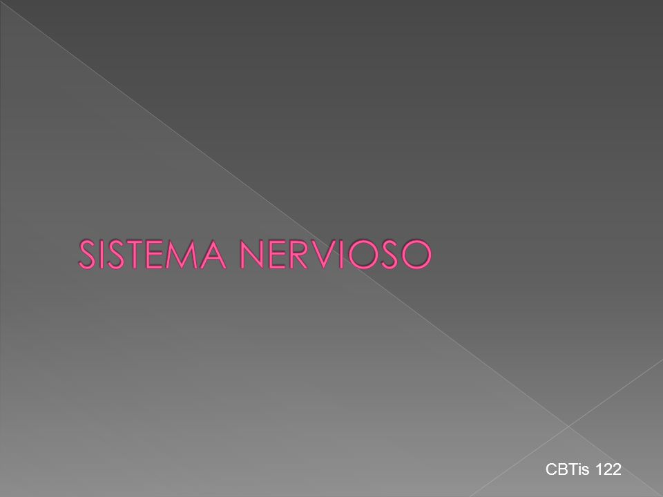 SISTEMA NERVIOSO CBTis 122