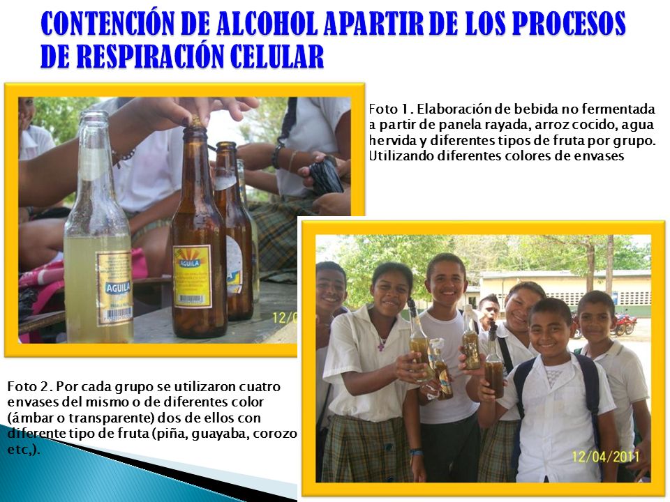 CONTENCIÓN DE ALCOHOL APARTIR DE LOS PROCESOS DE RESPIRACIÓN CELULAR
