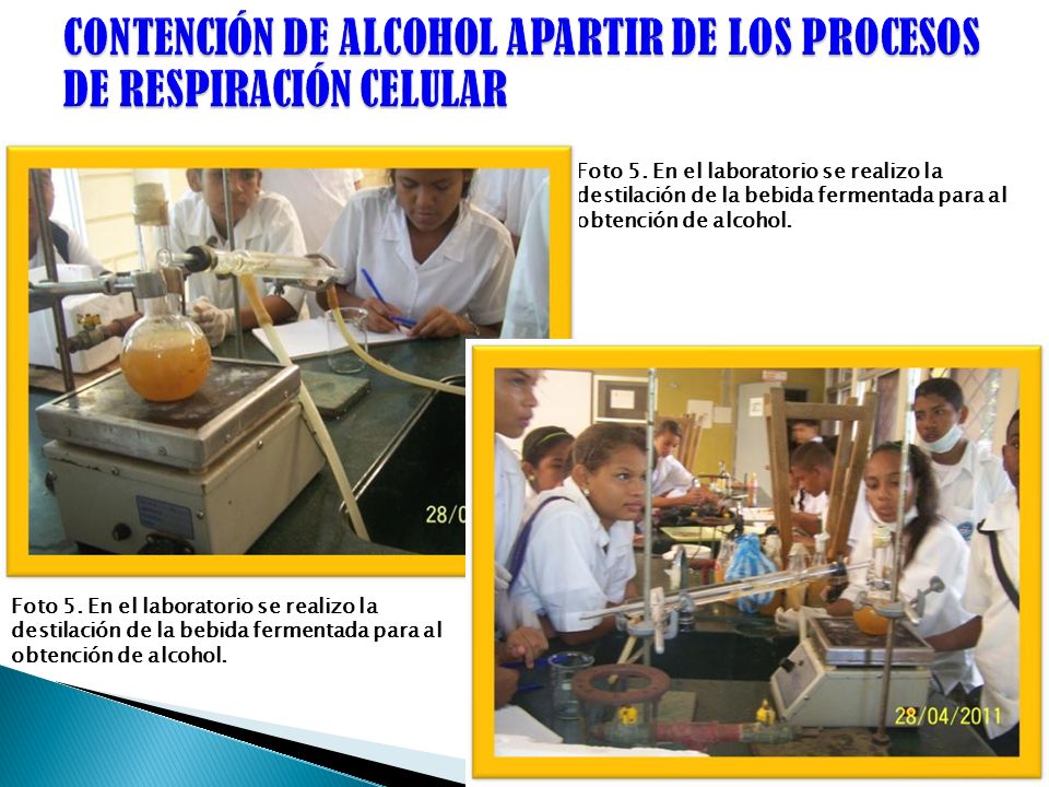 CONTENCIÓN DE ALCOHOL APARTIR DE LOS PROCESOS DE RESPIRACIÓN CELULAR