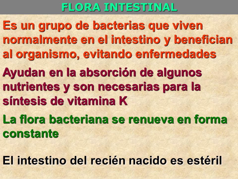 La flora bacteriana se renueva en forma constante