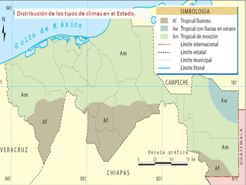 Distribución de los tipos de climas en el Estado.