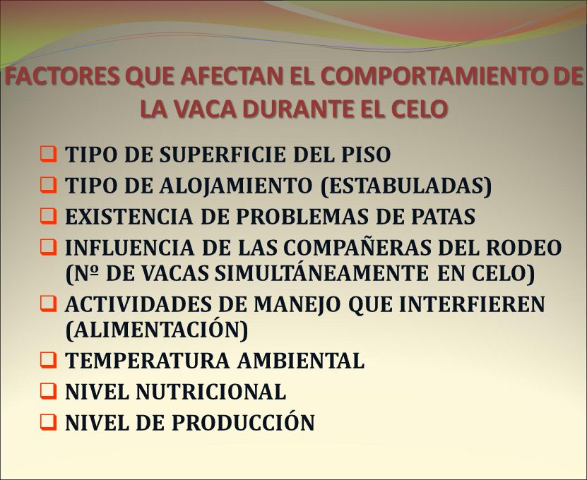 FACTORES QUE AFECTAN EL COMPORTAMIENTO DE LA VACA DURANTE EL CELO
