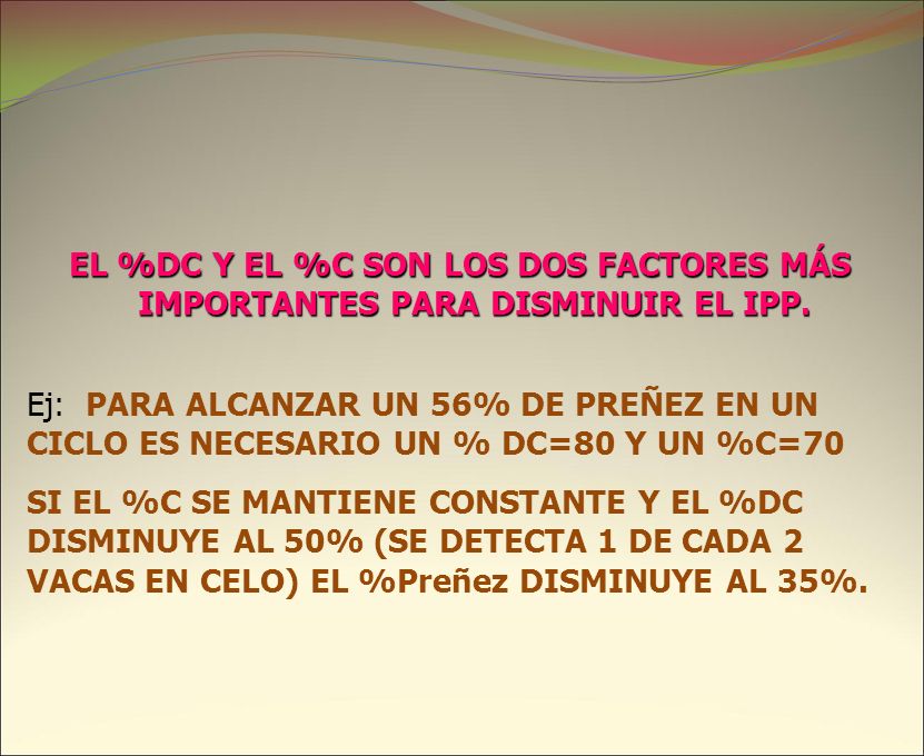 EL %DC Y EL %C SON LOS DOS FACTORES MÁS IMPORTANTES PARA DISMINUIR EL IPP.