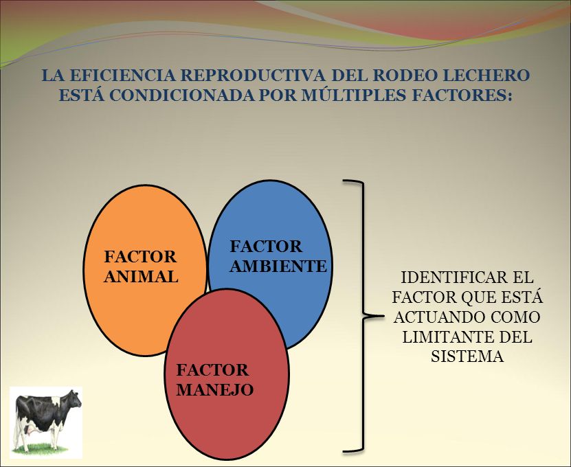 IDENTIFICAR EL FACTOR QUE ESTÁ ACTUANDO COMO LIMITANTE DEL SISTEMA