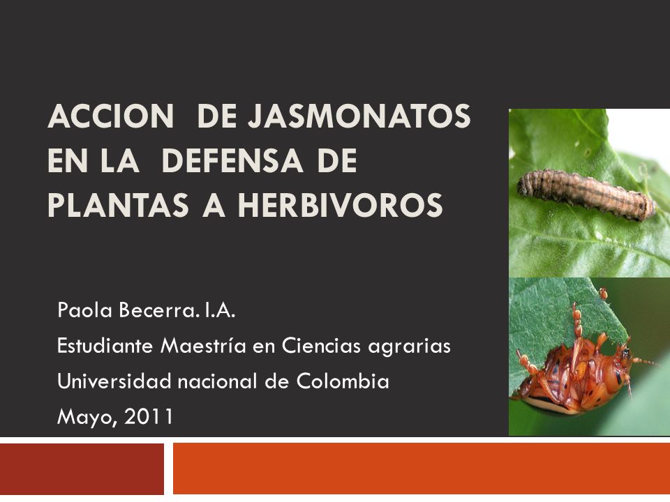 ACCION De JASMONATOS EN LA DEFENSA DE PLANTAS A HERBIVOROS