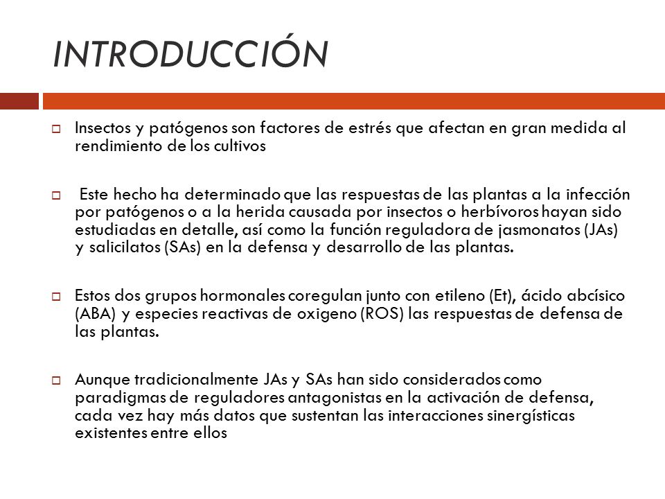 INTRODUCCIÓN Insectos y patógenos son factores de estrés que afectan en gran medida al rendimiento de los cultivos.