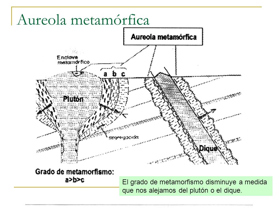Aureola metamórfica El grado de metamorfismo disminuye a medida que nos alejamos del plutón o el dique.