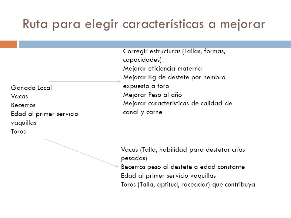 Ruta para elegir características a mejorar