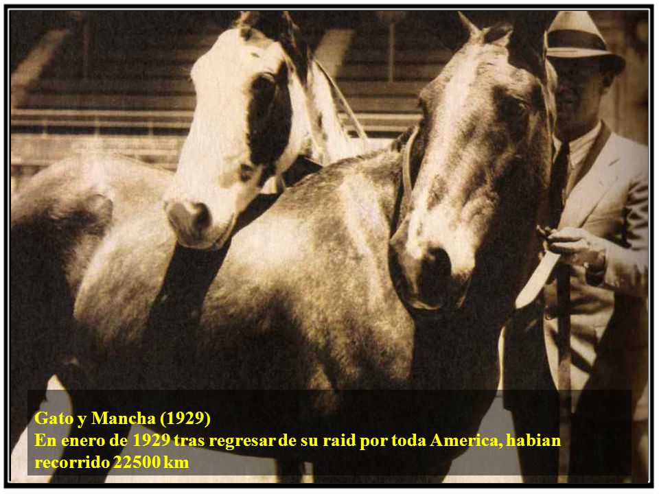 Gato y Mancha (1929) En enero de 1929 tras regresar de su raid por toda America, habian recorrido km.
