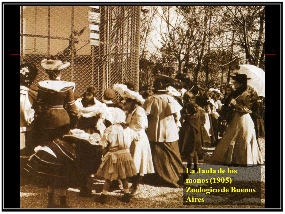 La Jaula de los monos (1905) Zoologico de Buenos Aires