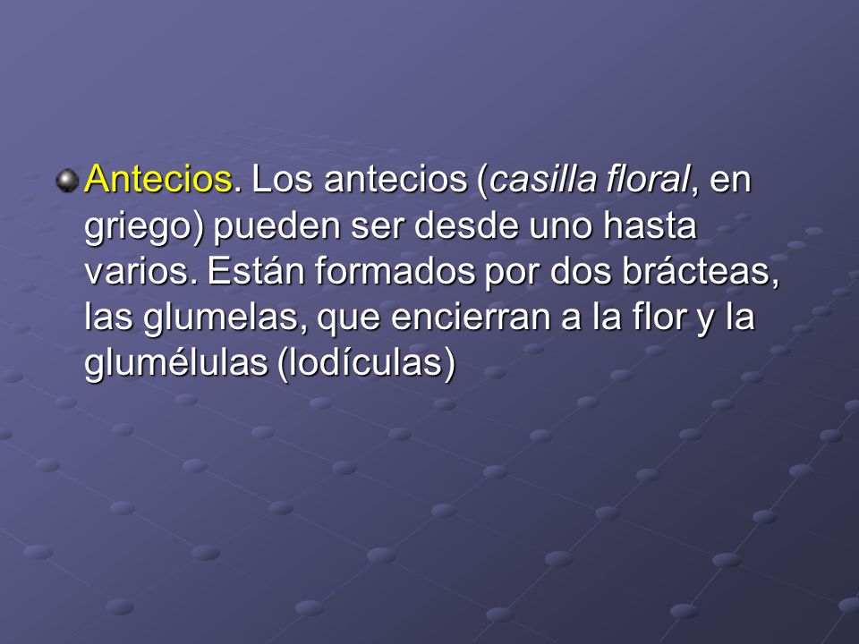 Antecios. Los antecios (casilla floral, en griego) pueden ser desde uno hasta varios.
