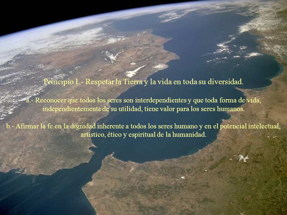 Principio 1.- Respetar la Tierra y la vida en toda su diversidad.