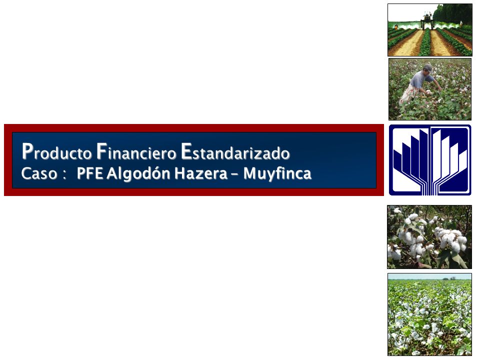 Producto Financiero Estandarizado Caso : PFE Algodón Hazera – Muyfinca