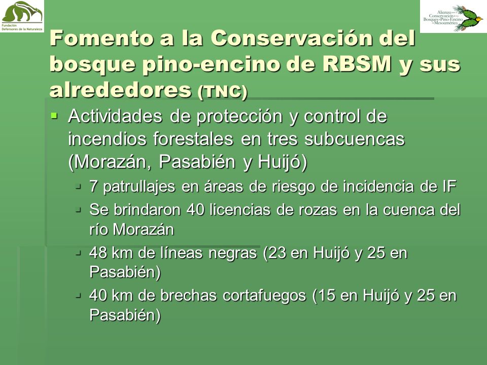 Fomento a la Conservación del bosque pino-encino de RBSM y sus alrededores (TNC)