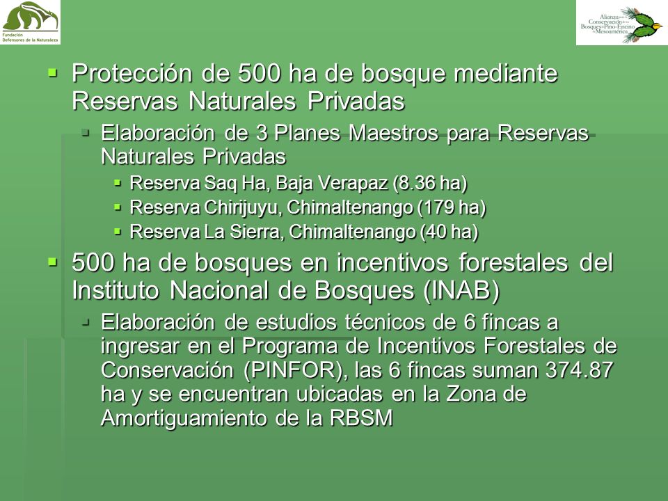 Protección de 500 ha de bosque mediante Reservas Naturales Privadas