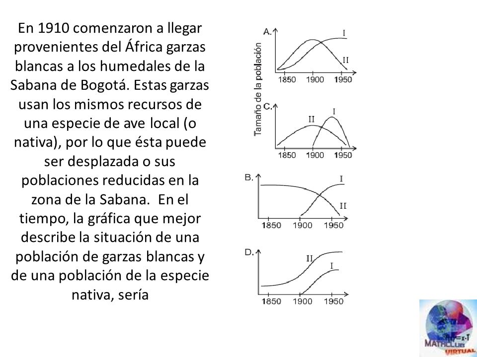 En 1910 comenzaron a llegar provenientes del África garzas blancas a los humedales de la Sabana de Bogotá.